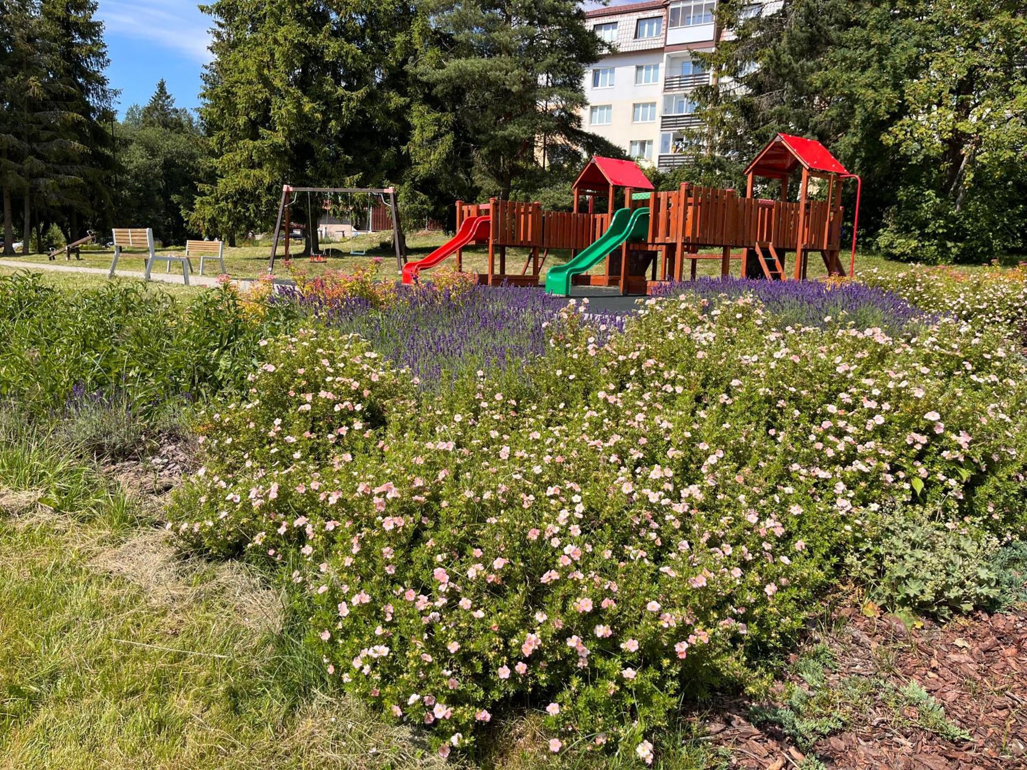 Cozy Apartment By The Forest Tatranska Strba Luaran gambar